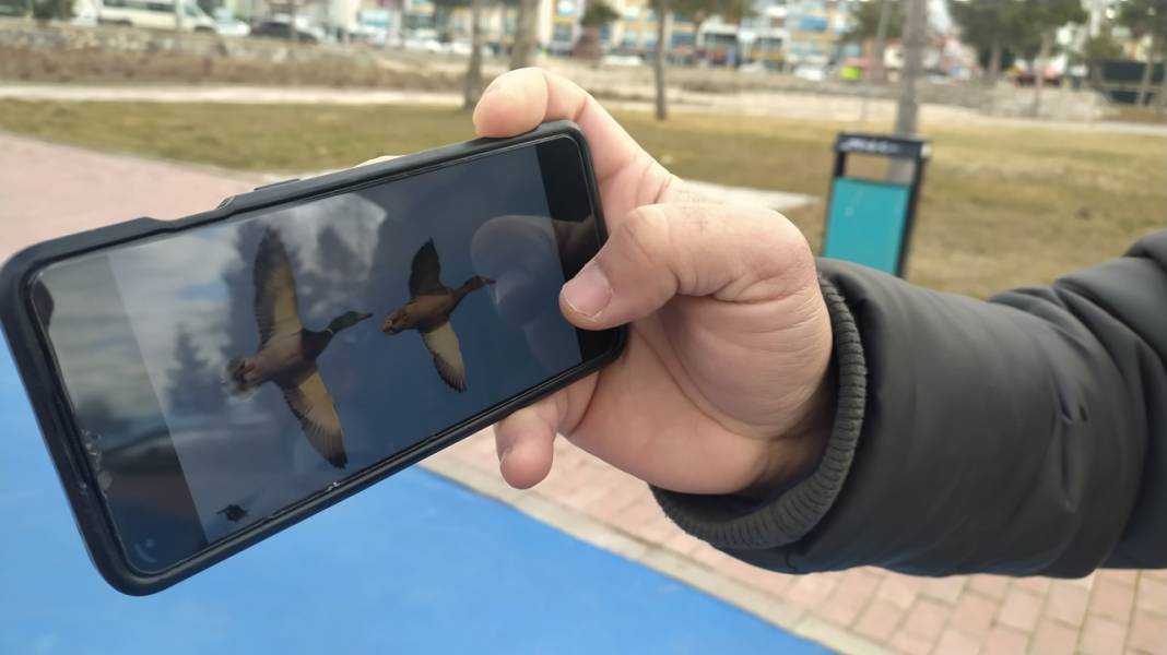 Astsubaylıktan kuş izine düştü! Karga ona göre 'karga' değil: Konya'daki göl ikinci evi oldu 6